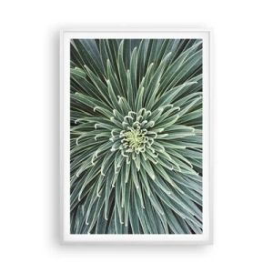 Plakat i hvid ramme - En stjernes fødsel - 70x100 cm