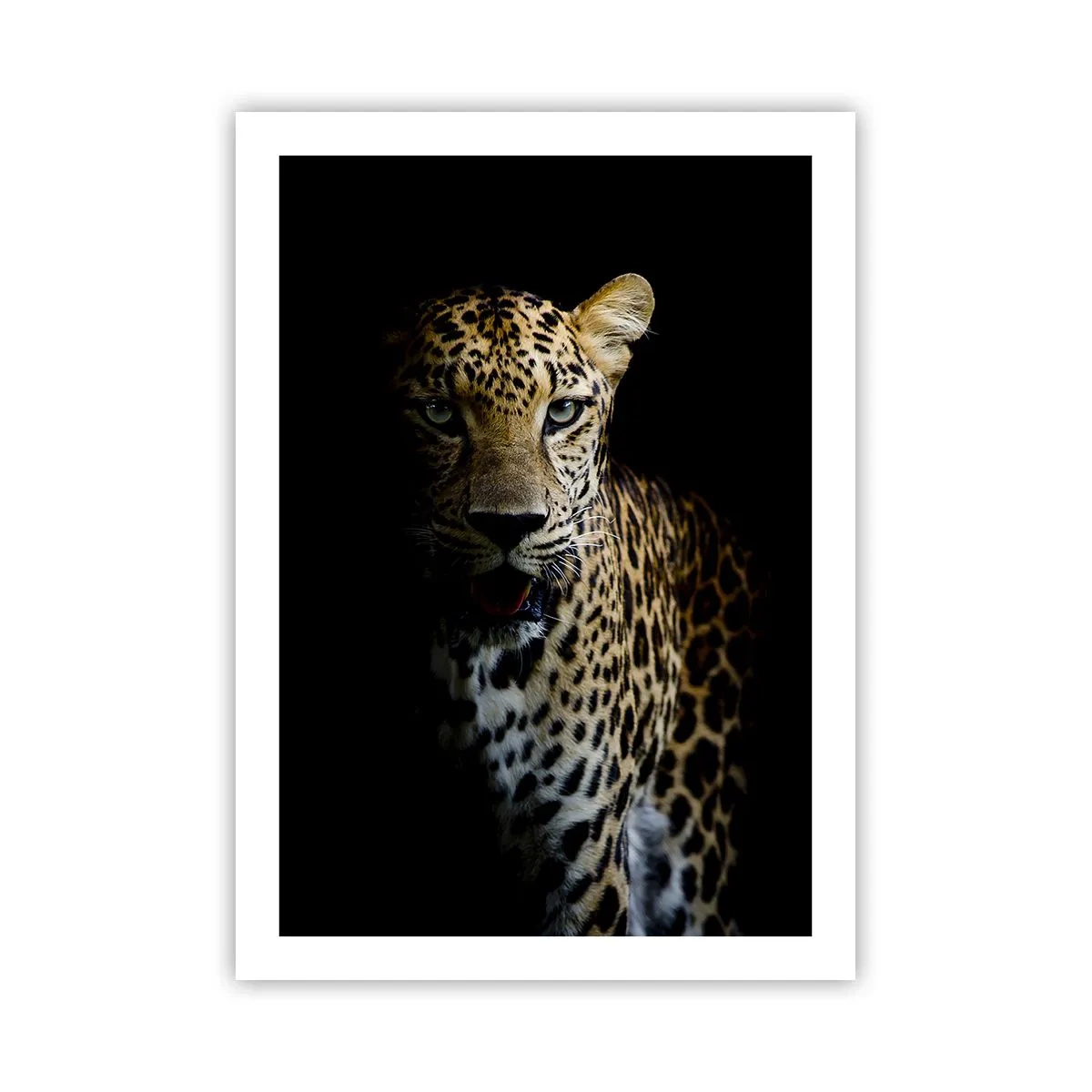 Plakat - Mørk skønhed - 50x70 cm