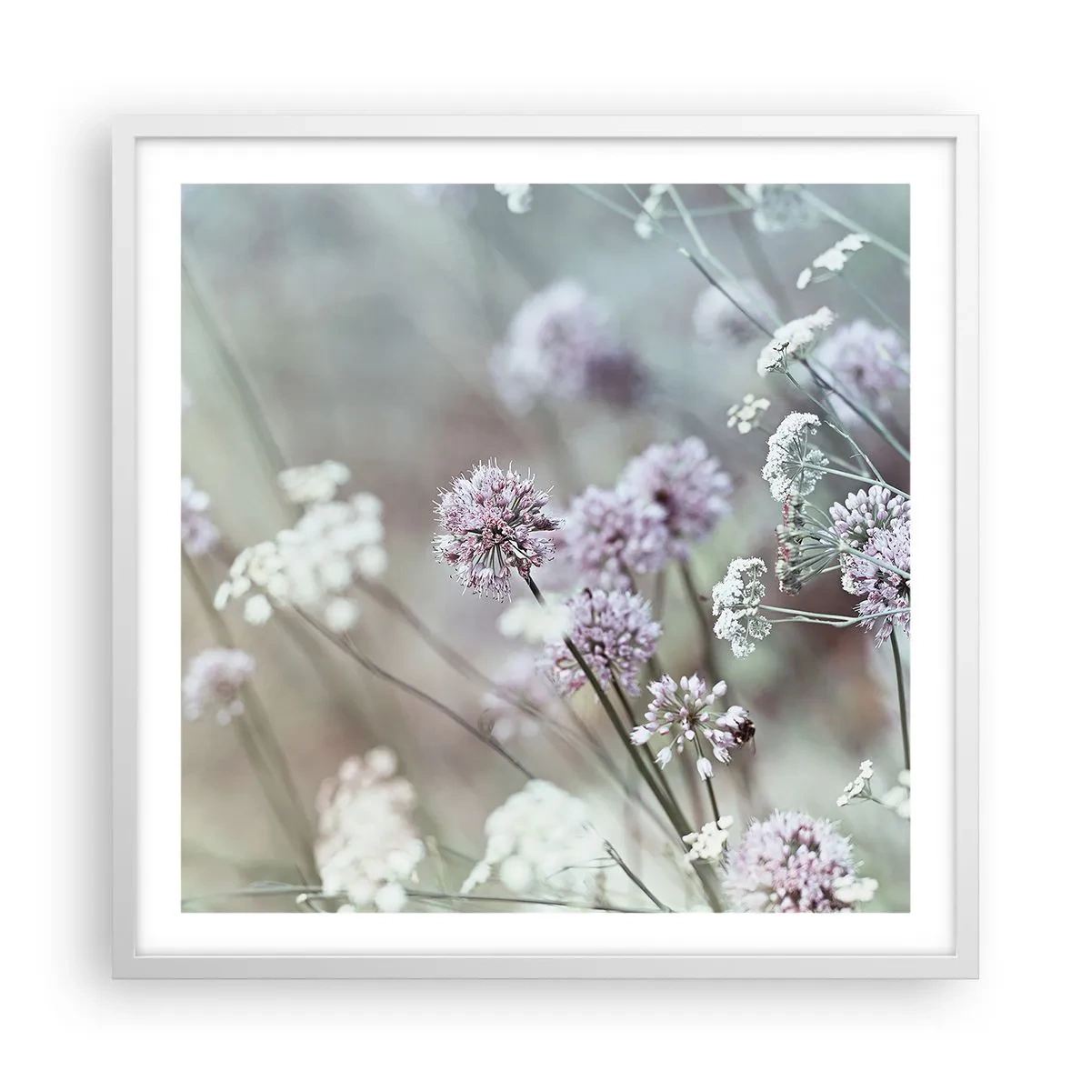 Plakat i hvid ramme - Søde filigranurter - 60x60 cm
