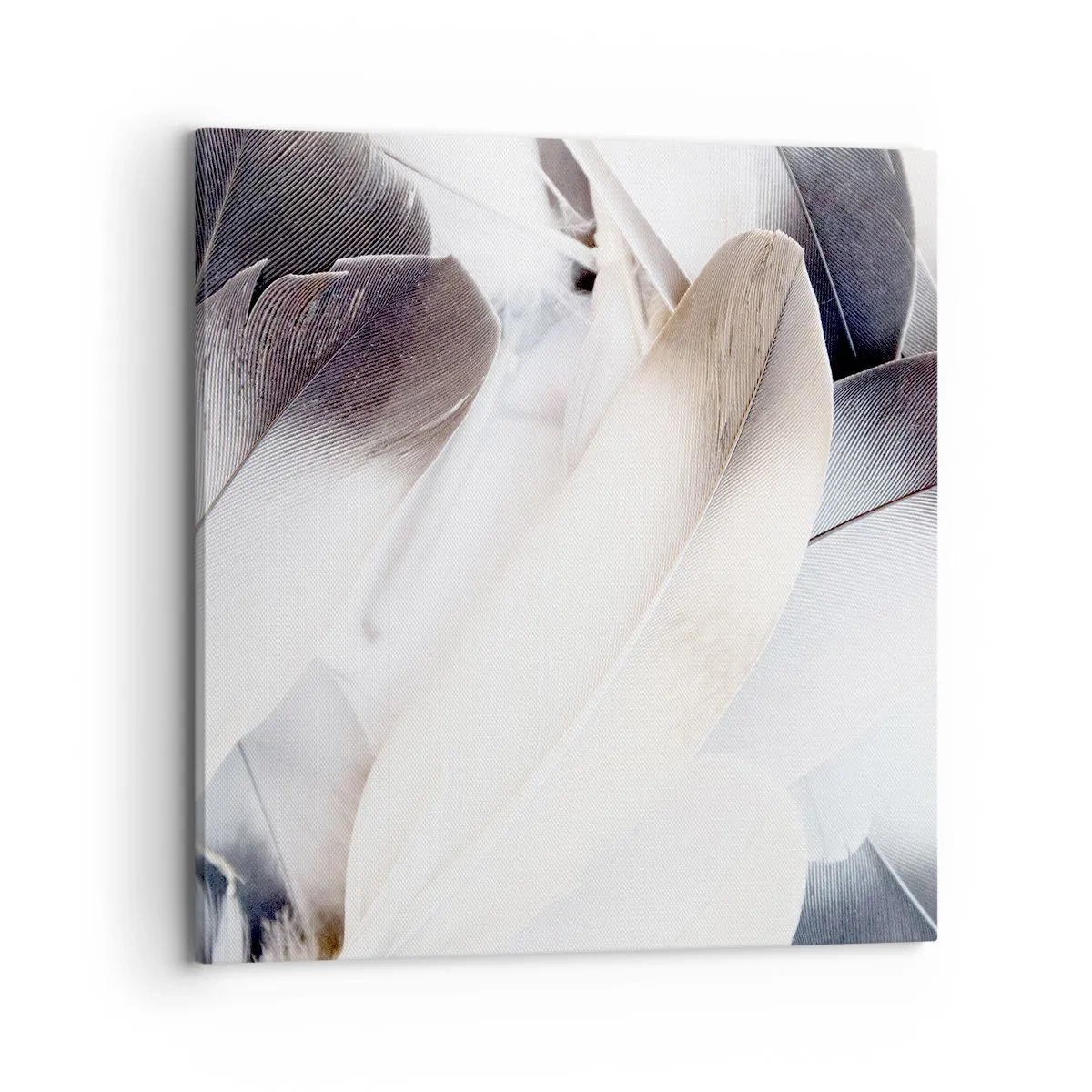 Lærredstryk - Billede på lærred - Næsten engleagtig - 70x70 cm