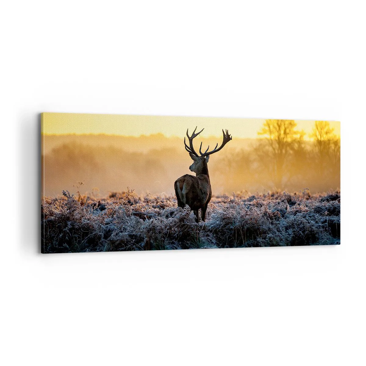 Lærredstryk - Billede på lærred - Kronet på sine godser - 100x40 cm