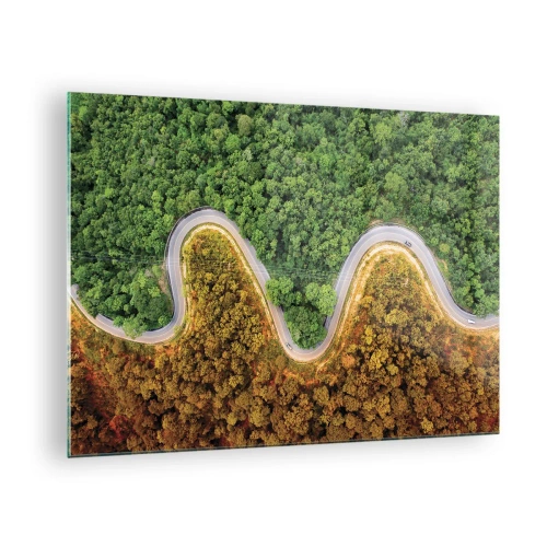 Billede på glas - En snoet vej gennem en tæt skov set fra fugleperspektiv - 70x50cm - Grænser og gennembrud - Moderne vægdekoration til stue og soveværelse ARTTOR
