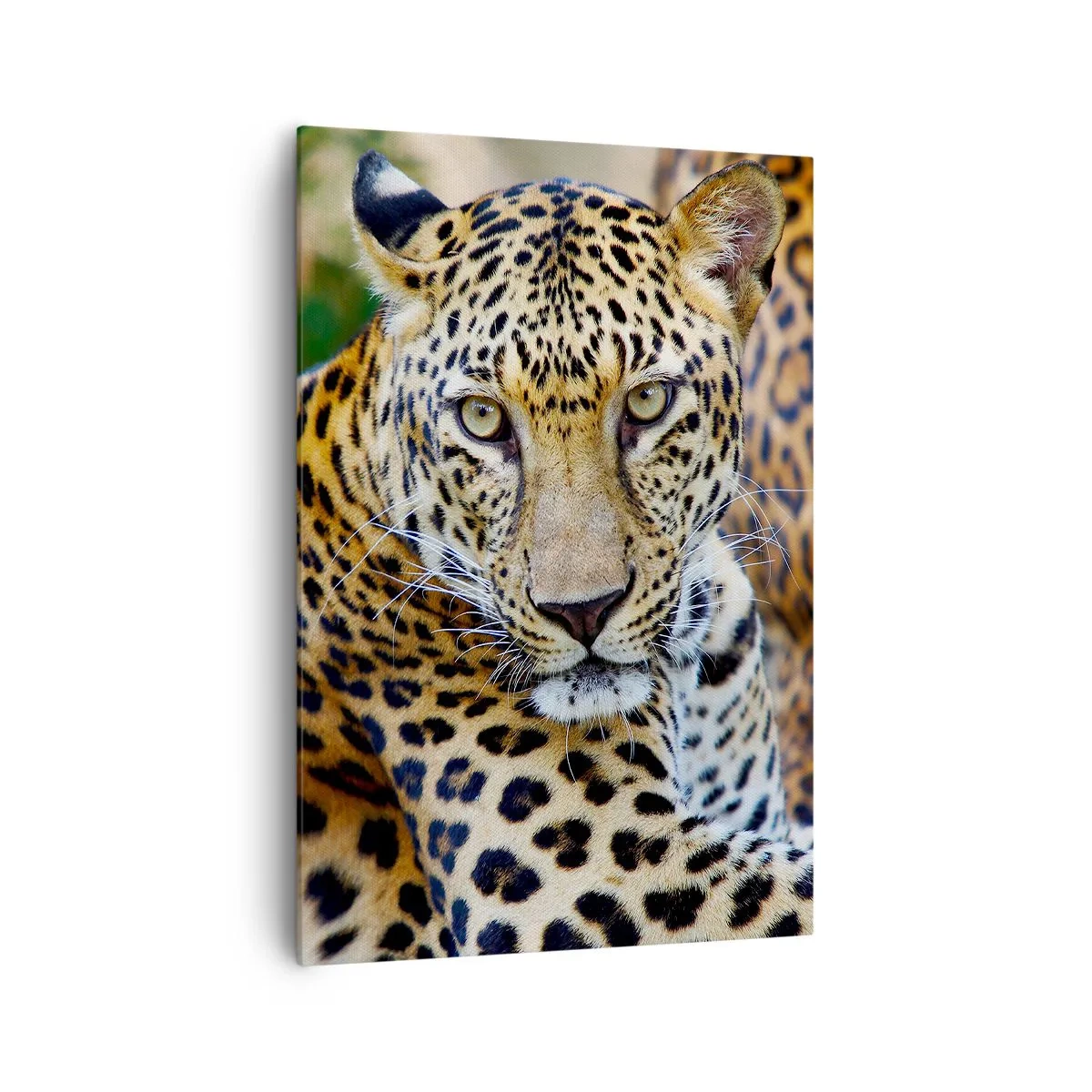 Lærredstryk - Billede på lærred - Vild og rolig - 70x100 cm