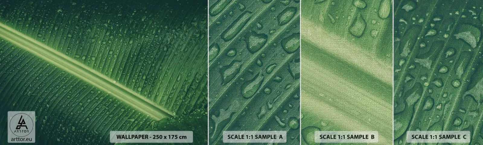 Prøve Fototapet Premium Canvas - Grøn struktur - Grønt blad, Tropisk plante, Stykke - 100x30 cm