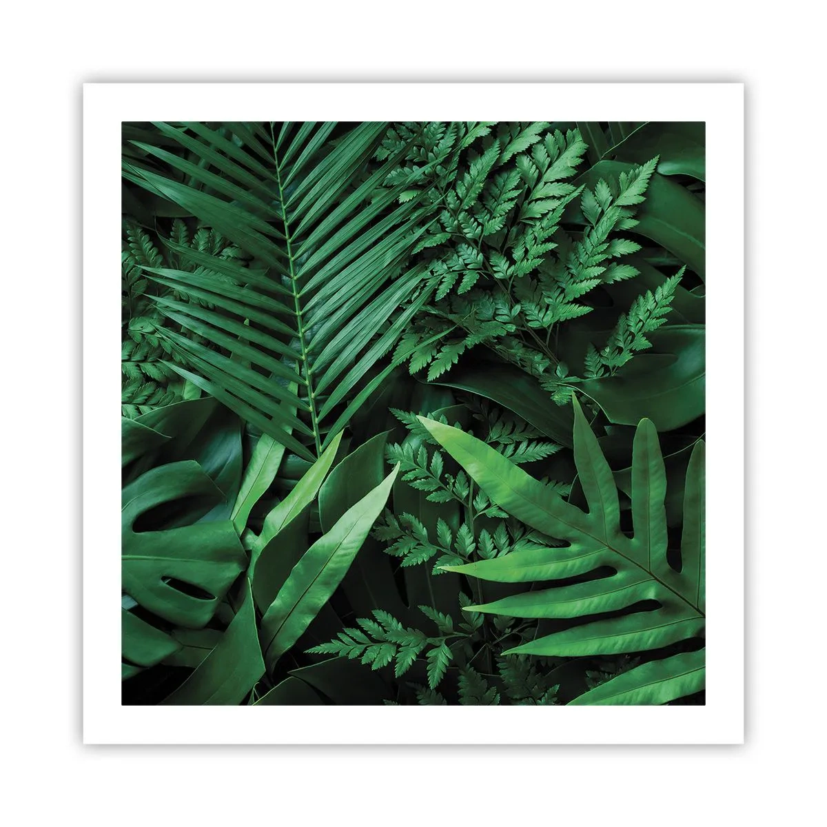 Plakat - Kranset i grønt - 60x60 cm