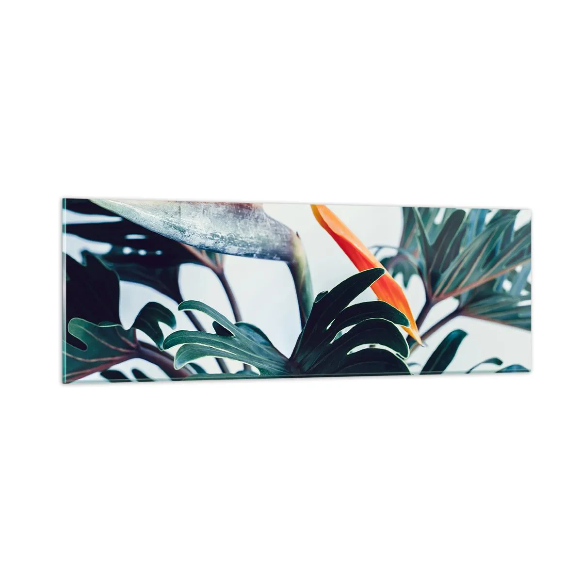 Billede på glas - Fuglebur - 90x30 cm