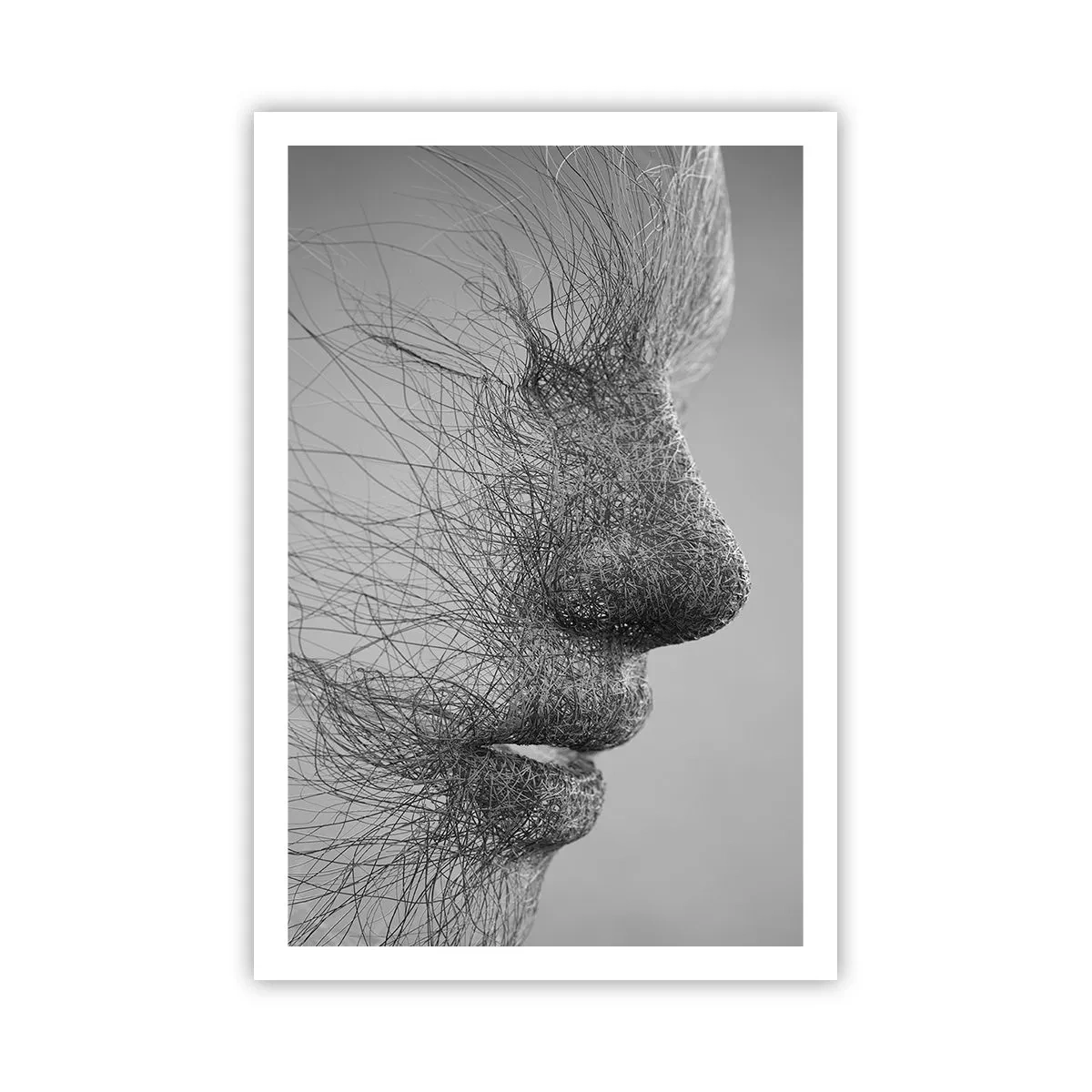 Plakat - Vindens ånd - 61x91 cm