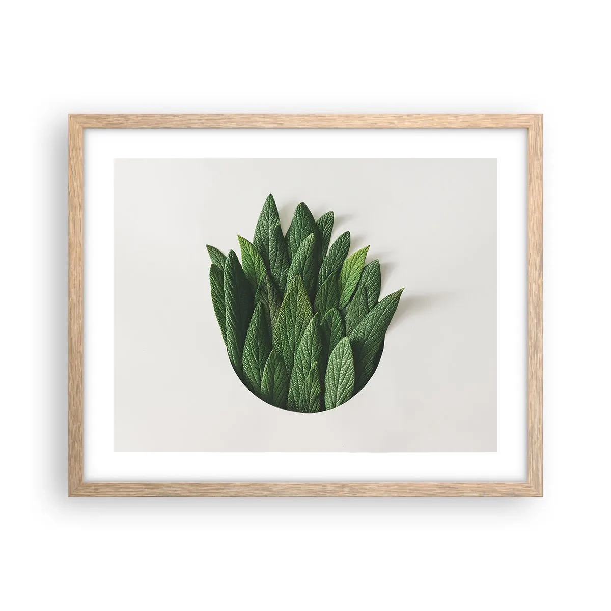 Plakat i ramme af lyst egetræ - Uhæmmet nysgerrighed - 50x40 cm