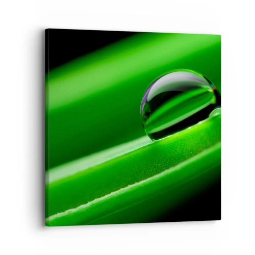 Lærredstryk - Billede på lærred - Livet på tæt hold - 30x30 cm