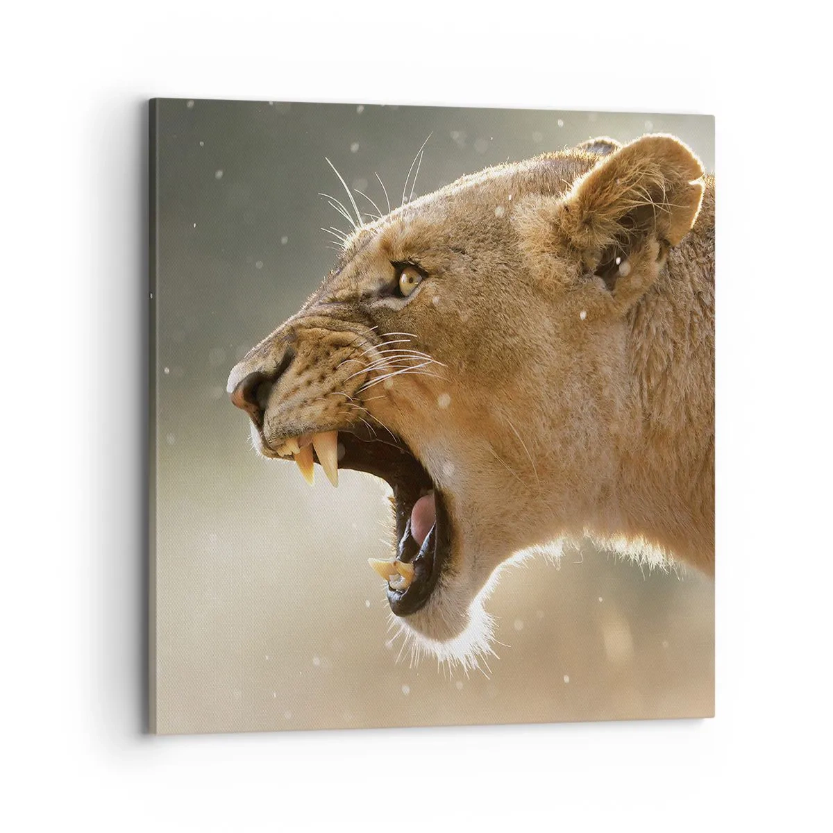 Lærredstryk - Billede på lærred - Prøv ikke at lytte - 70x70 cm