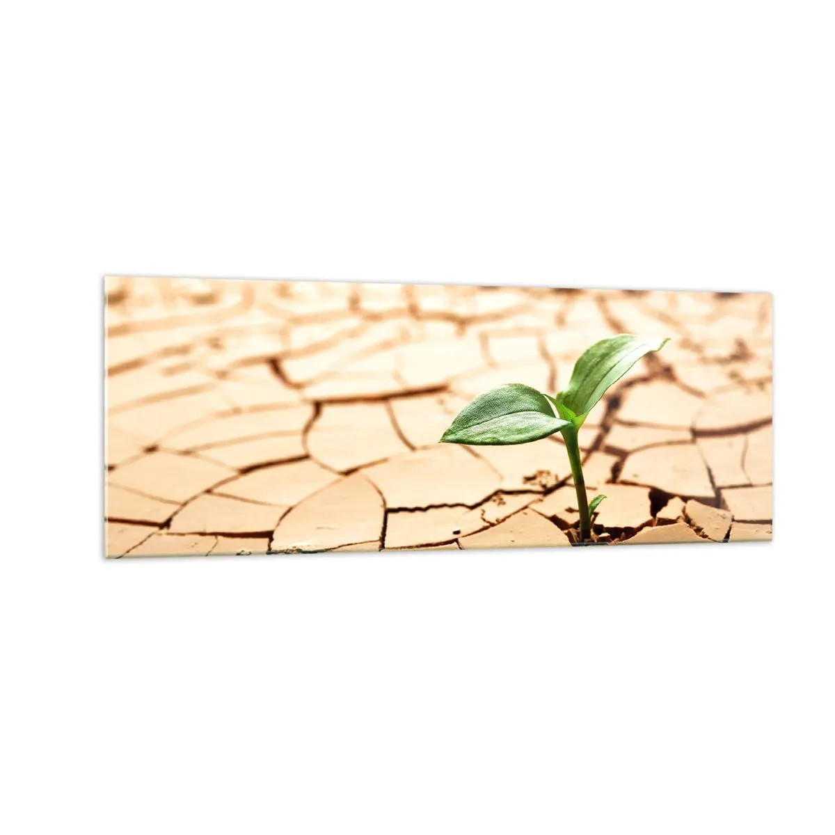 Billede på glas - Den ukuelige livskraft - 140x50 cm