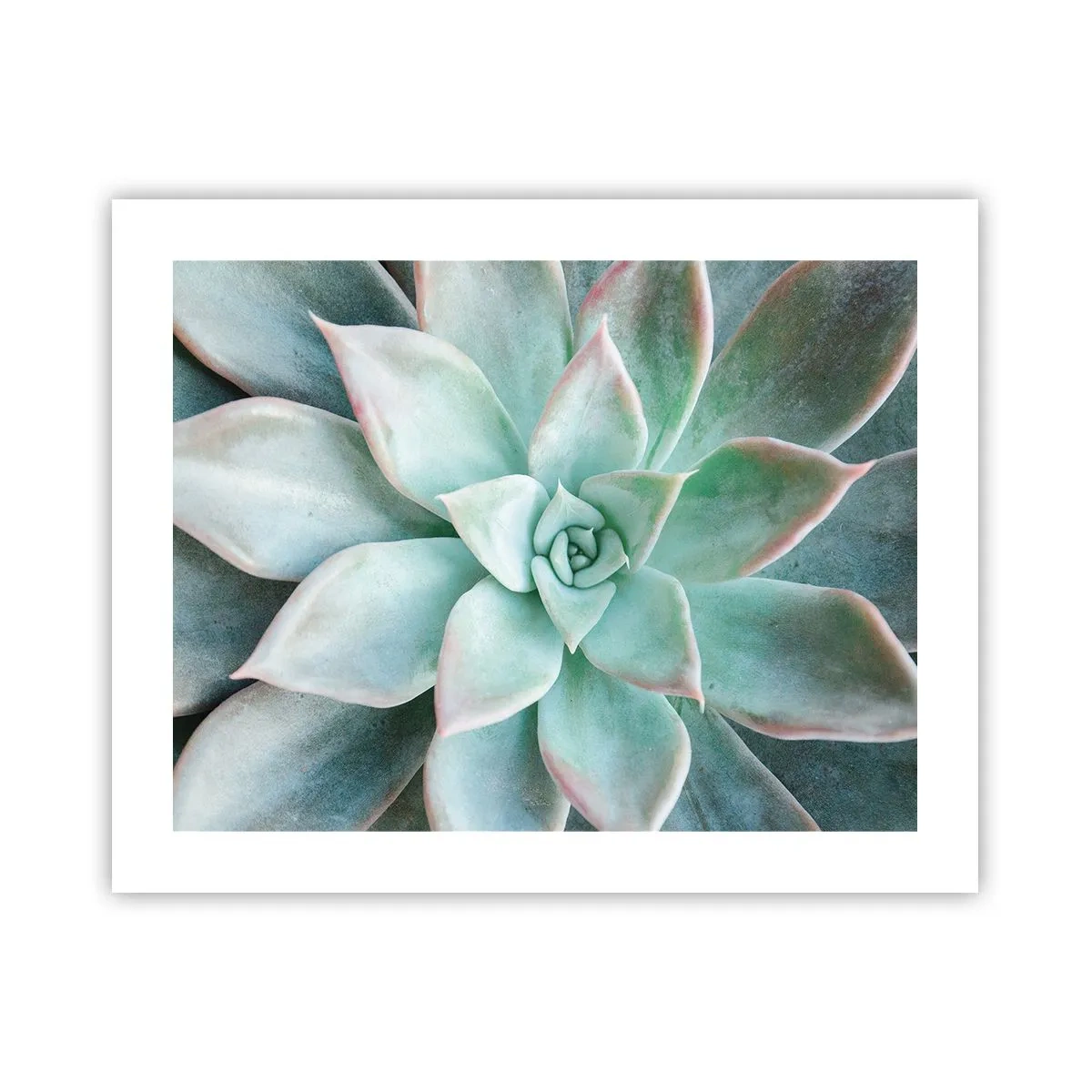 Plakat - Hjertet af ørkenen - 50x40 cm