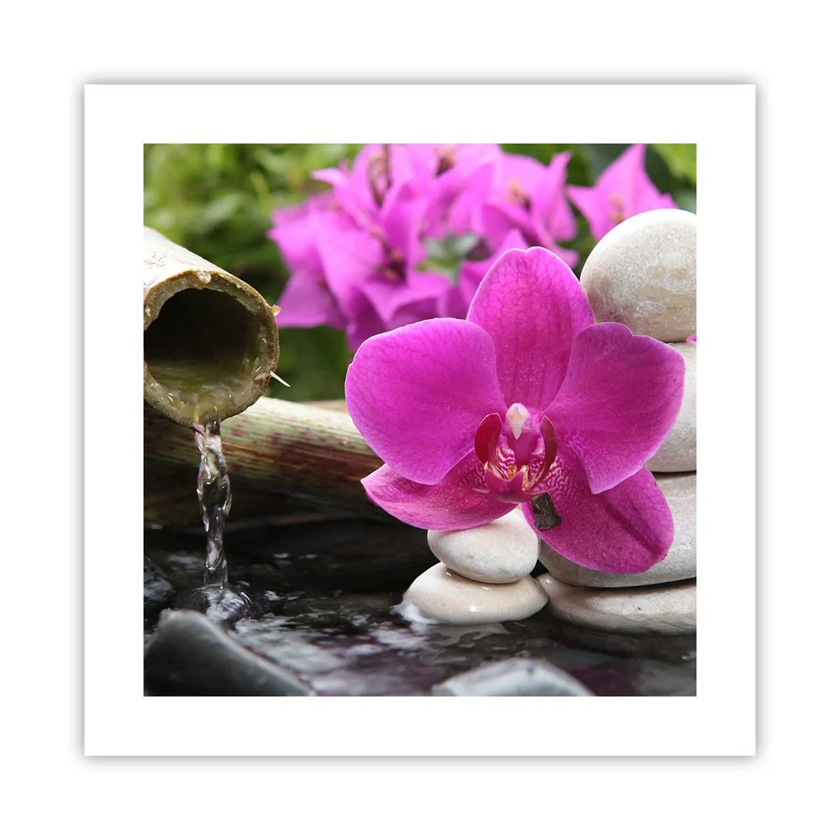 Plakat - Du hviler allerede - 40x40 cm