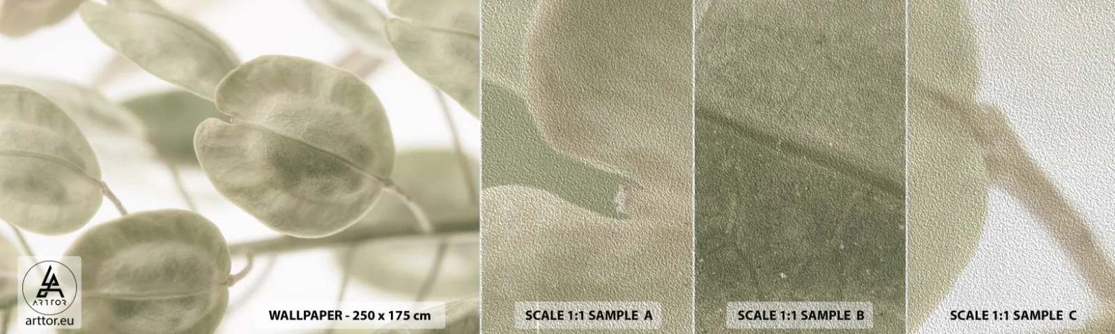 Prøve Fototapet Premium Sand - I begyndelsen var der blade... - Blomster, Berolige, Blade - 100x30 cm