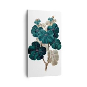Lærredstryk - Billede på lærred - Fra et gammelt herbarium - 45x80 cm