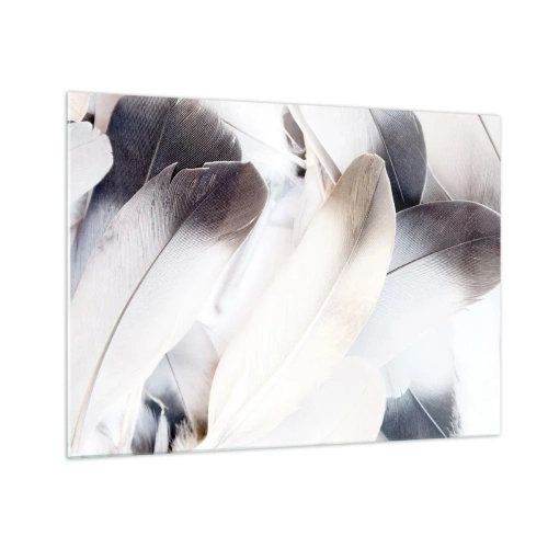 Billede på glas - Delikate, lyse fjer i nuancer af hvid og grå - 70x50cm - Næsten engleagtig - Moderne vægdekoration til stue og soveværelse ARTTOR