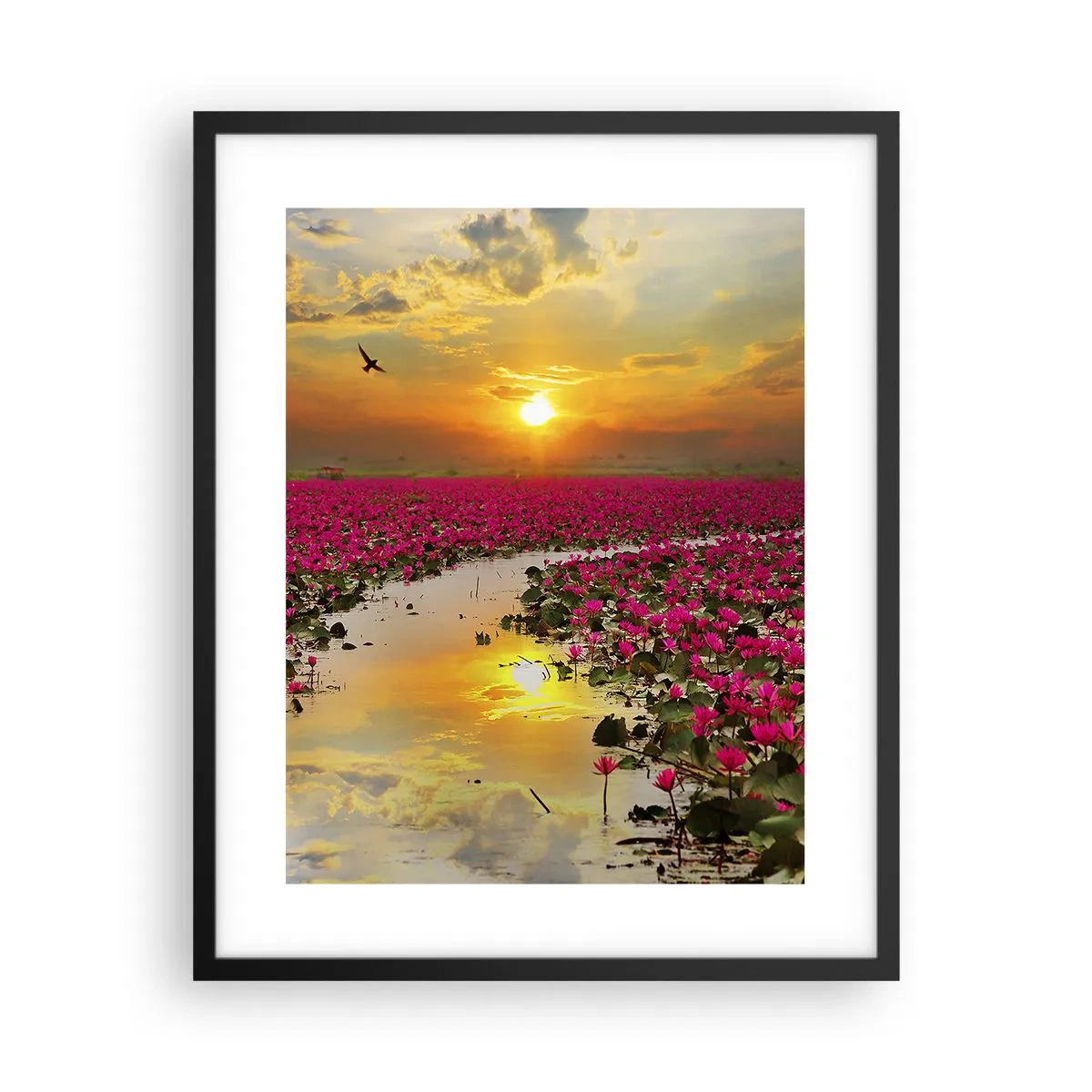 Plakat i sort ramme - Søens hemmelige liv - 40x50 cm