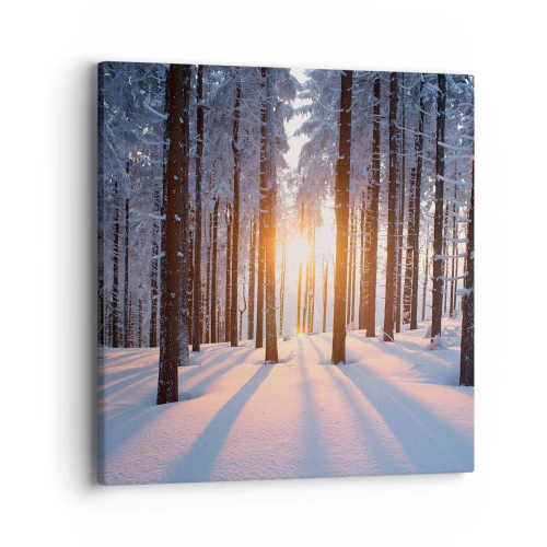 Lærredstryk - Billede på lærred - Klart i sort og hvidt - 40x40 cm