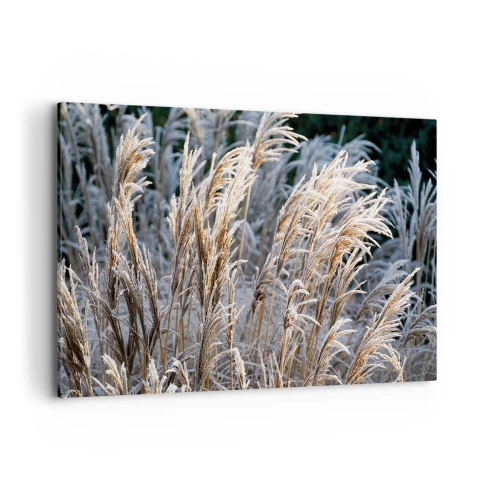 Lærredstryk - Billede på lærred - Pyntet med frost - 120x80 cm