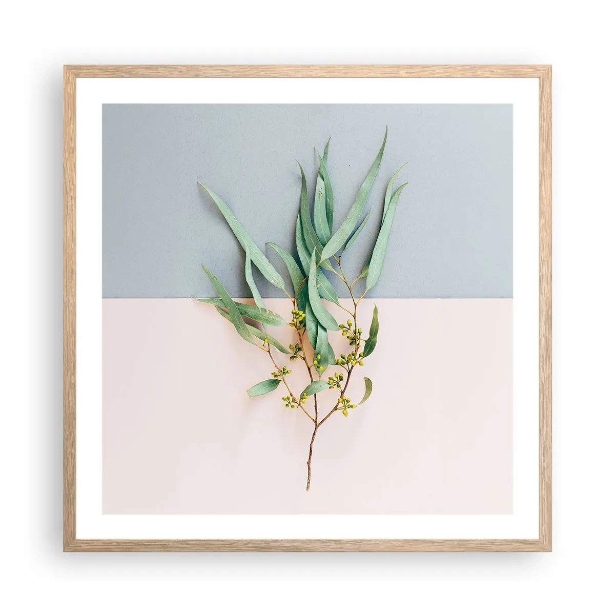 Plakat i ramme af lyst egetræ - Pastelfarvernes subtilitet - 60x60 cm