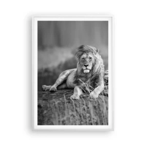 Plakat i hvid ramme - Kongelig siesta - 70x100 cm