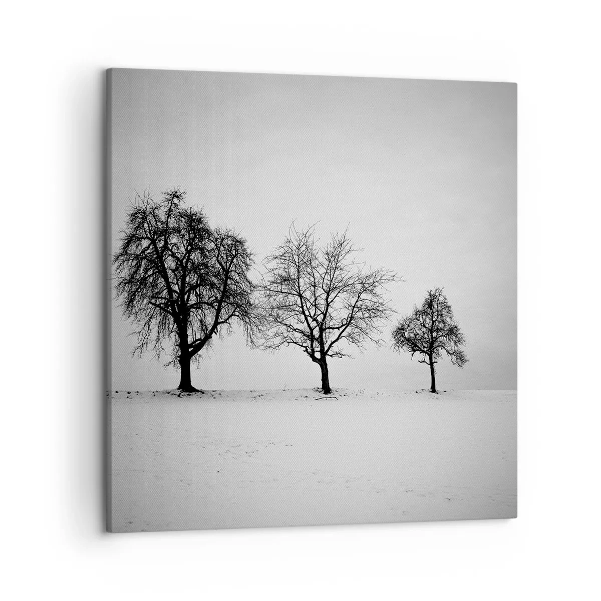 Lærredstryk - Billede på lærred - Hvad drømmer de om? - 50x50 cm