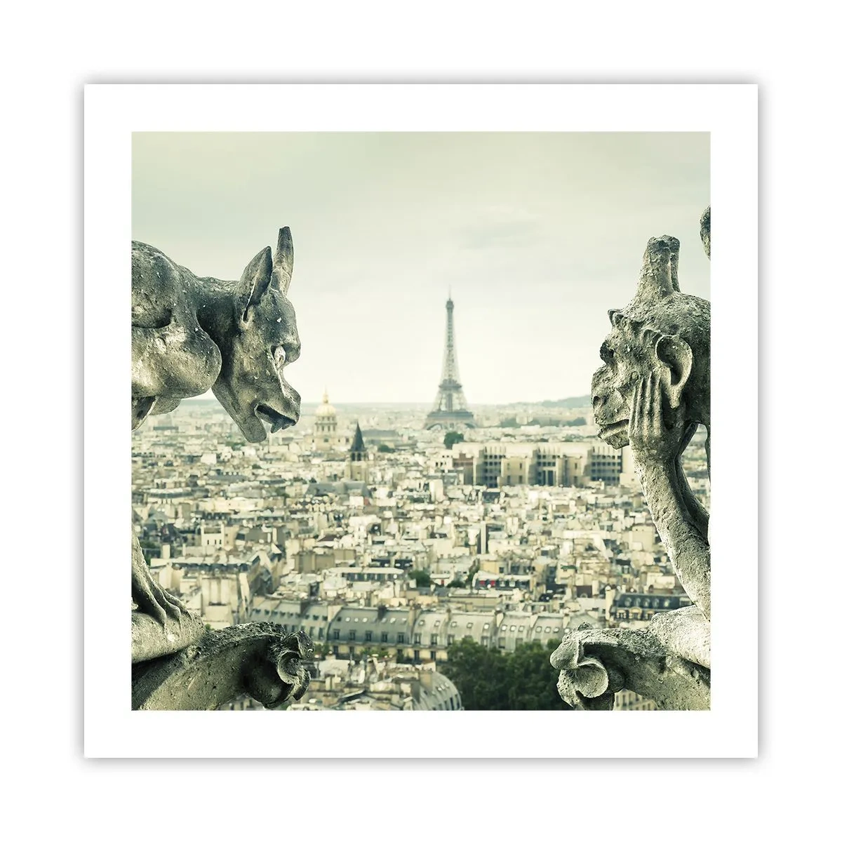 Plakat - Parisisk chat - 50x50 cm