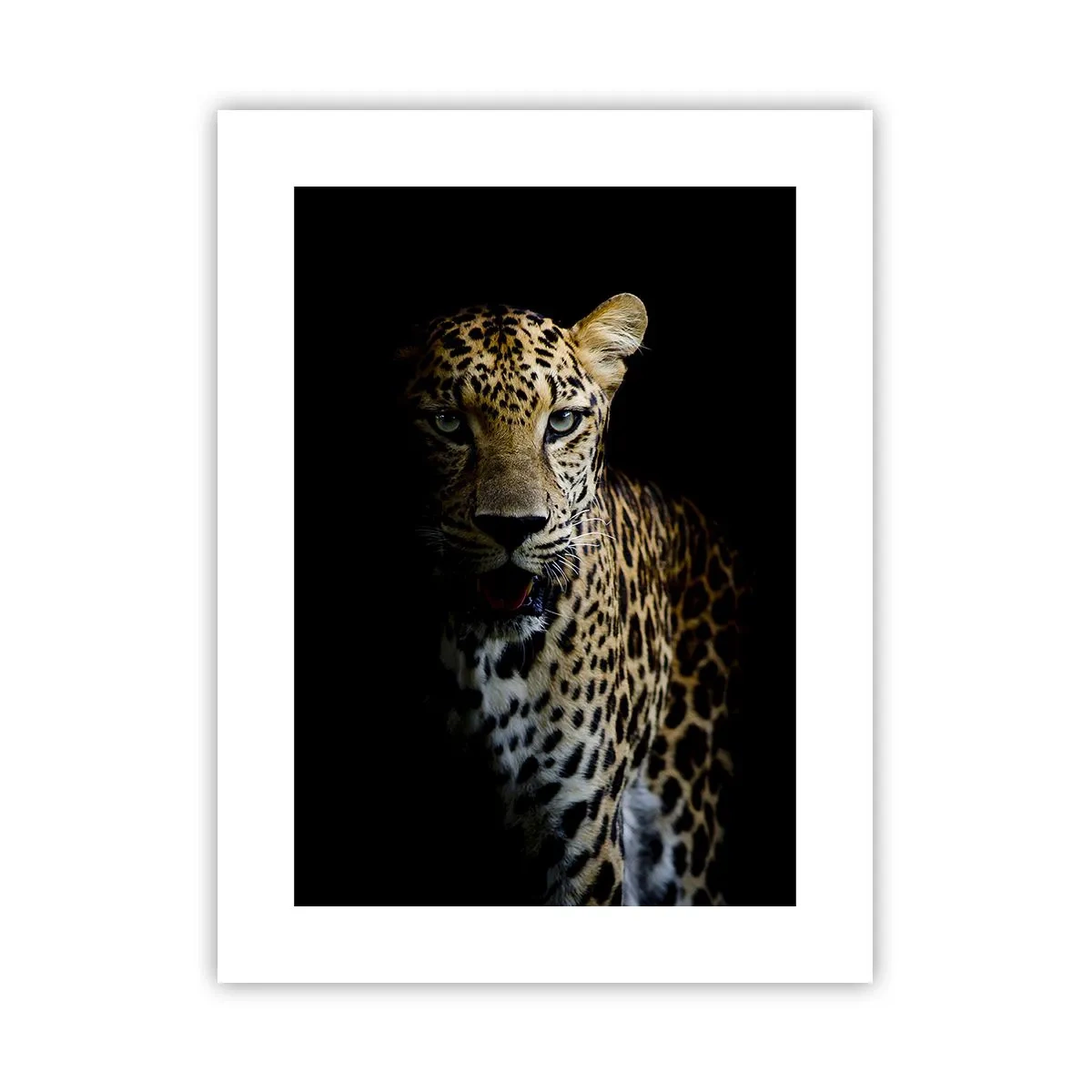 Plakat - Mørk skønhed - 30x40 cm