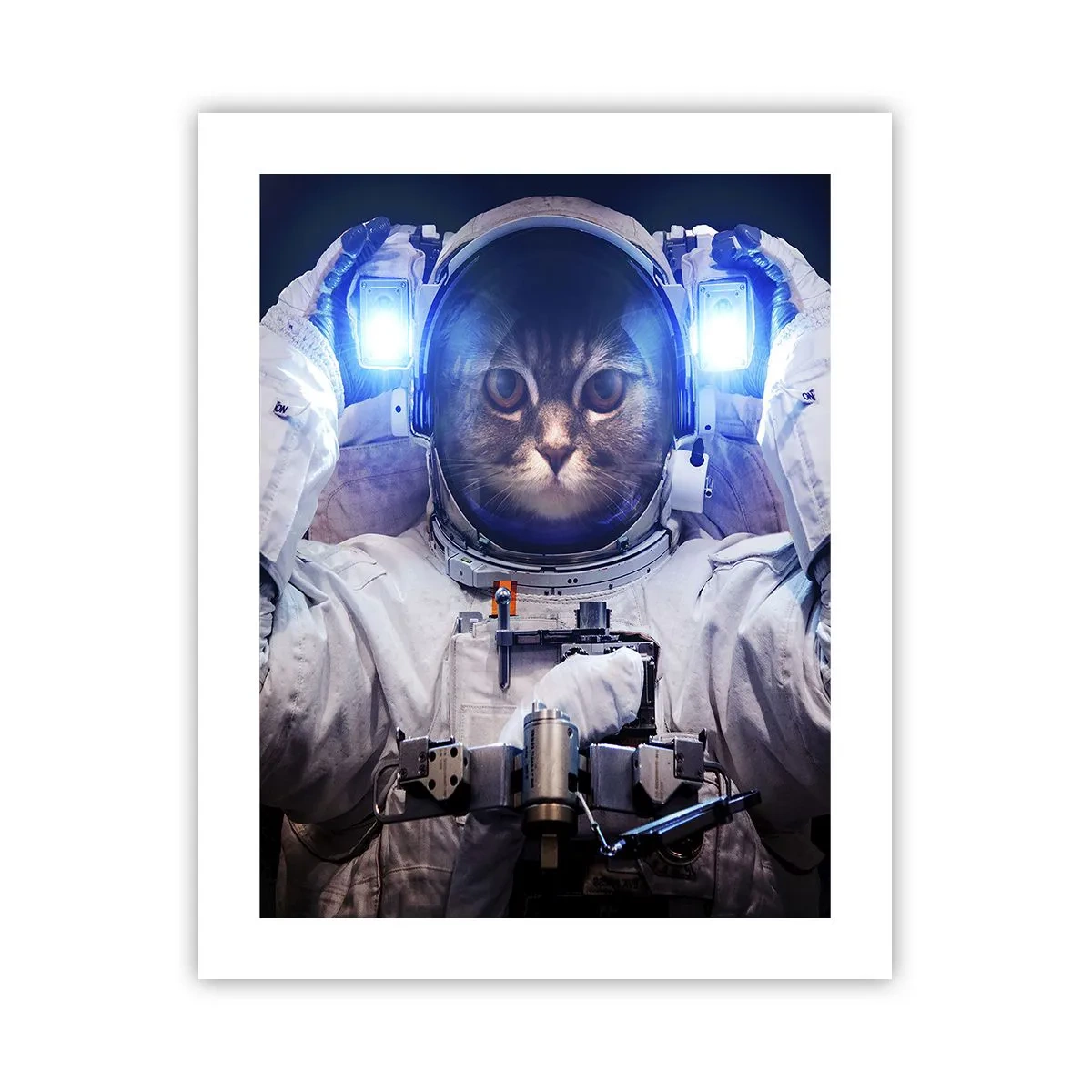 Plakat - Houston, I har et problem - 40x50 cm