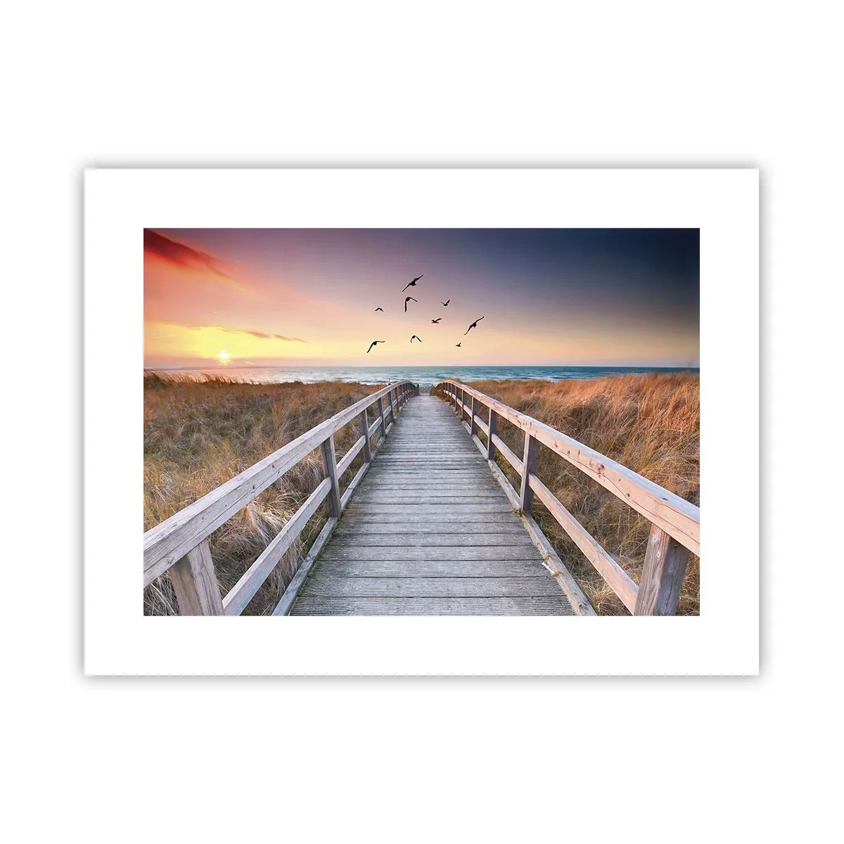 Plakat - Rummet med højder - 40x30 cm