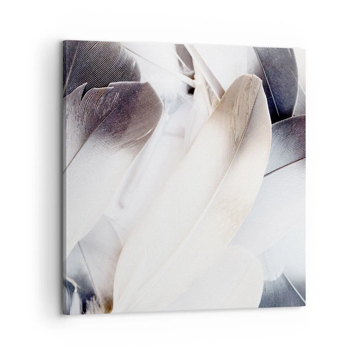 Lærredstryk - Billede på lærred - Næsten engleagtig - 60x60 cm