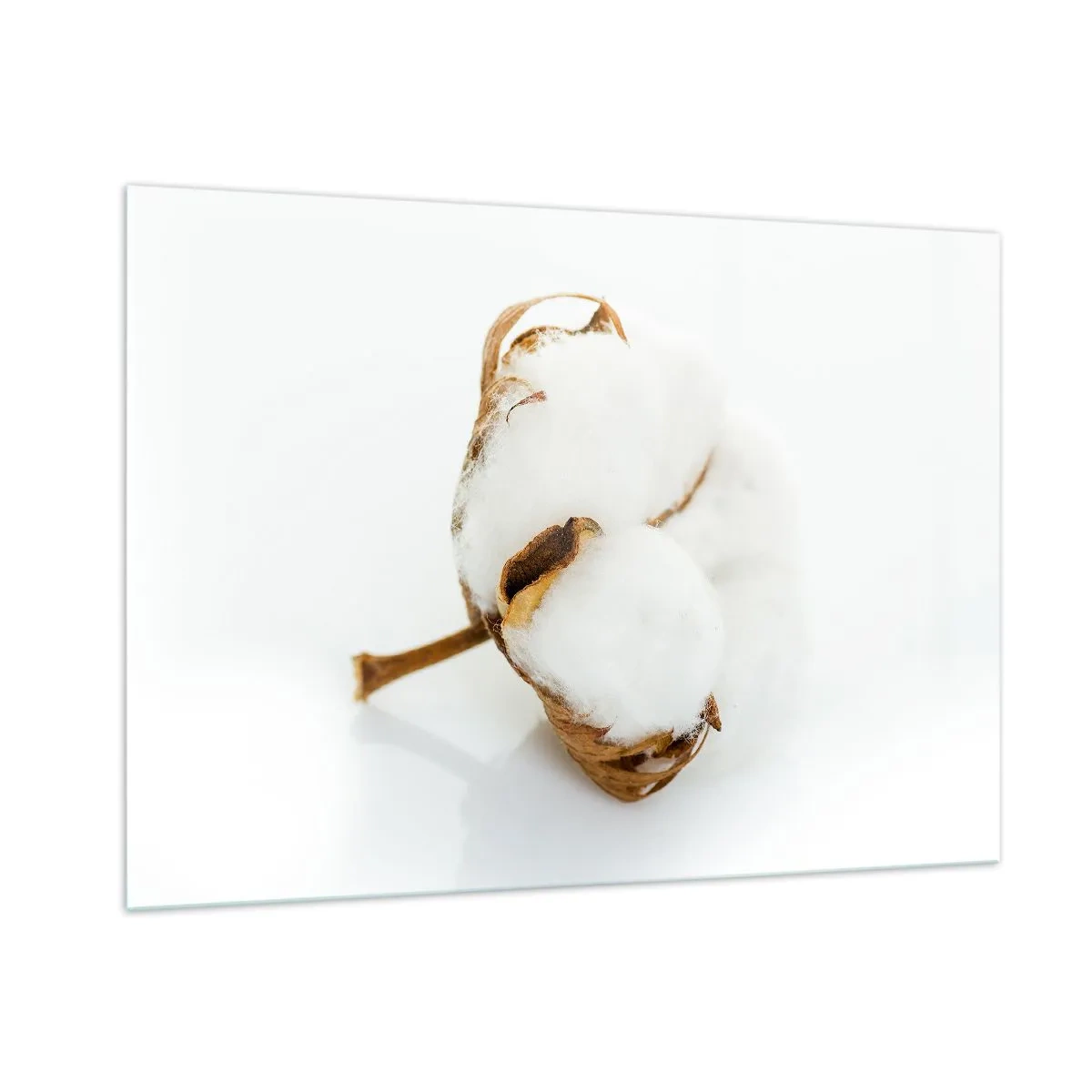 Billede på glas - Blød af natur - 100x70 cm