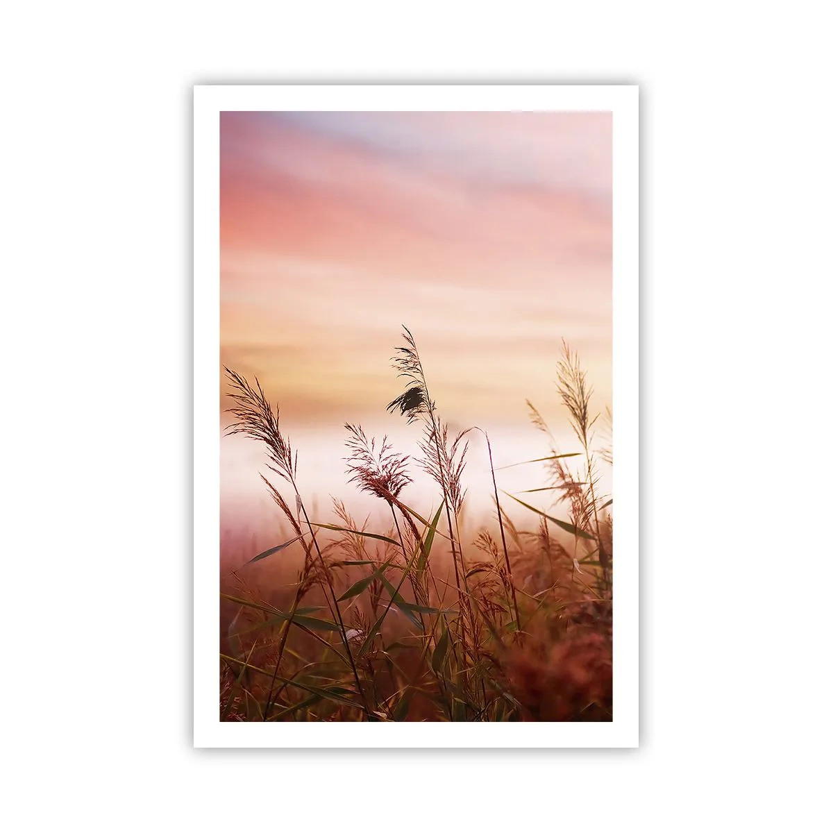 Plakat - Drager, blæsere, vind - 61x91 cm