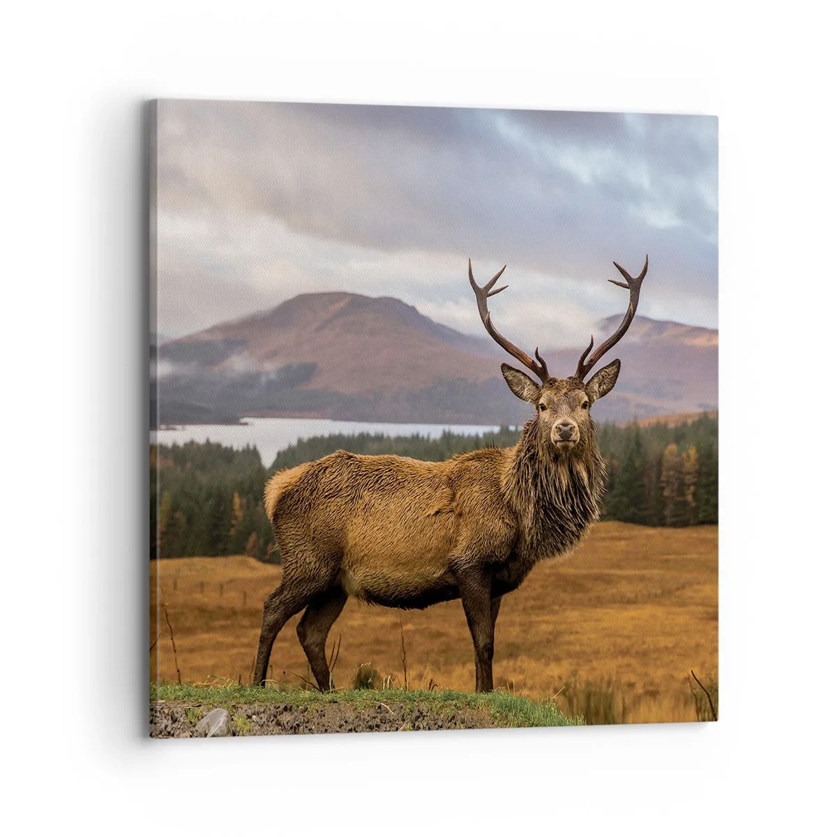 Lærredstryk - Billede på lærred - Naturens majestæt - 70x70 cm