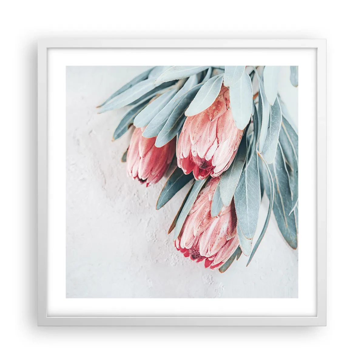 Plakat i hvid ramme - Skammer sig over deres egen skønhed - 50x50 cm