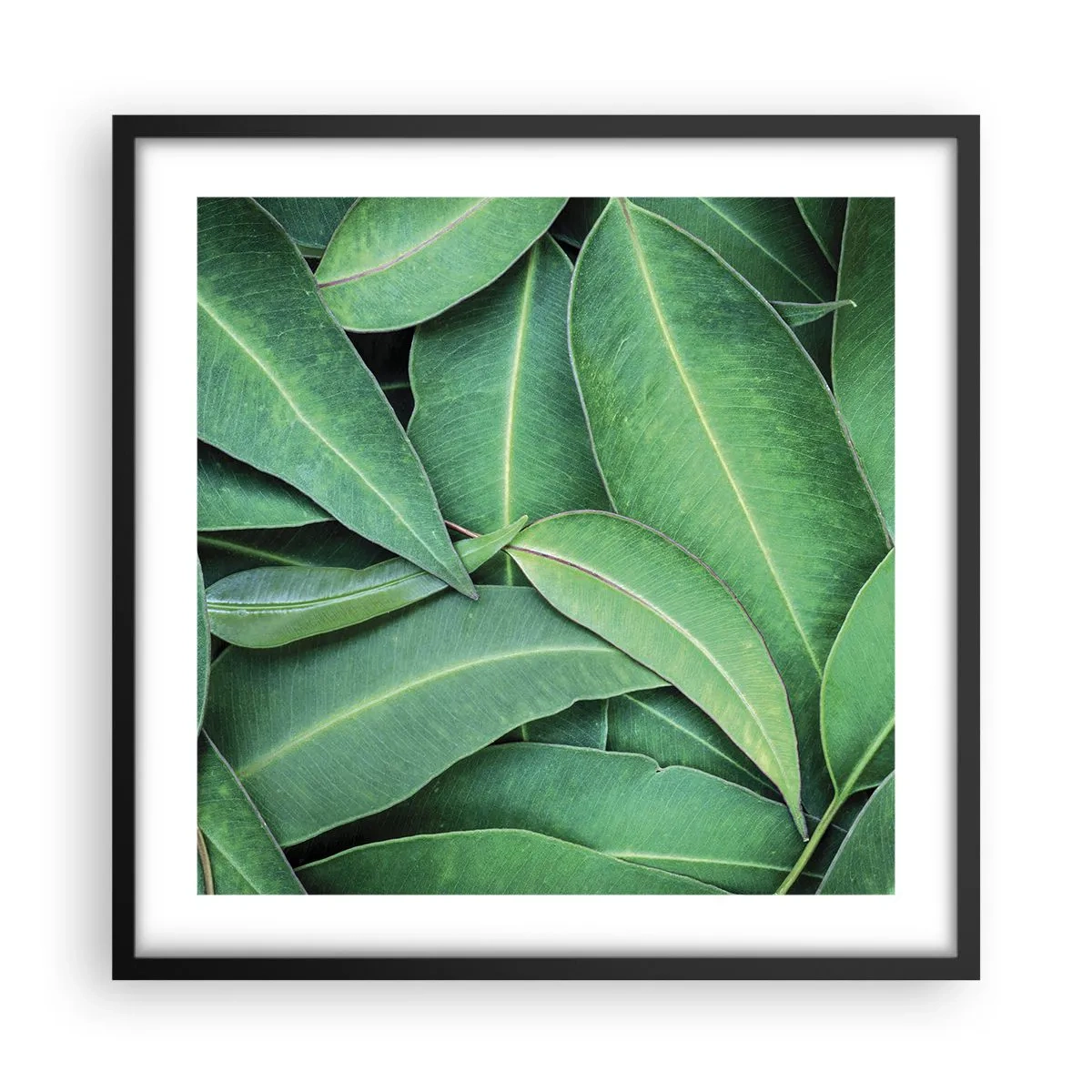 Plakat i sort ramme - Saftig og frisk - 50x50 cm