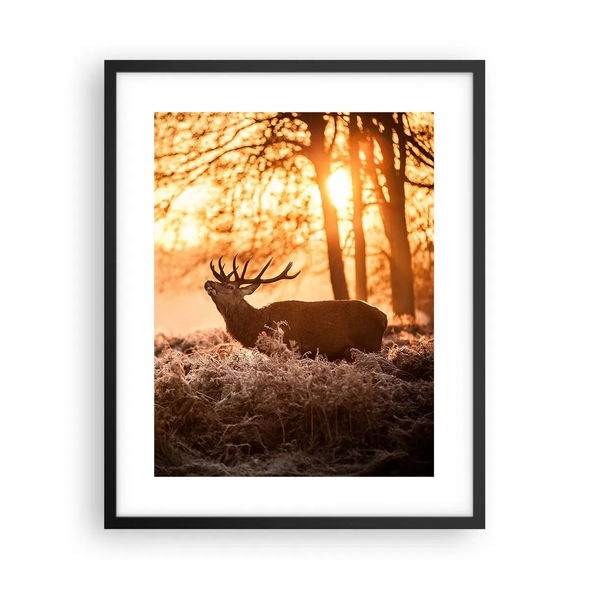 Plakat i sort ramme - En jægerdrøm - 40x50 cm