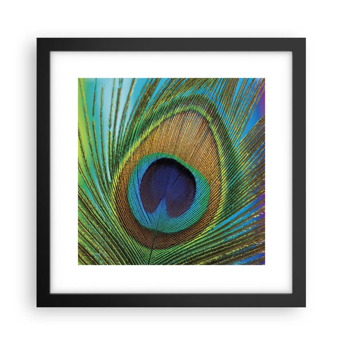 Plakat i sort ramme - Øje mod øje - 30x30 cm