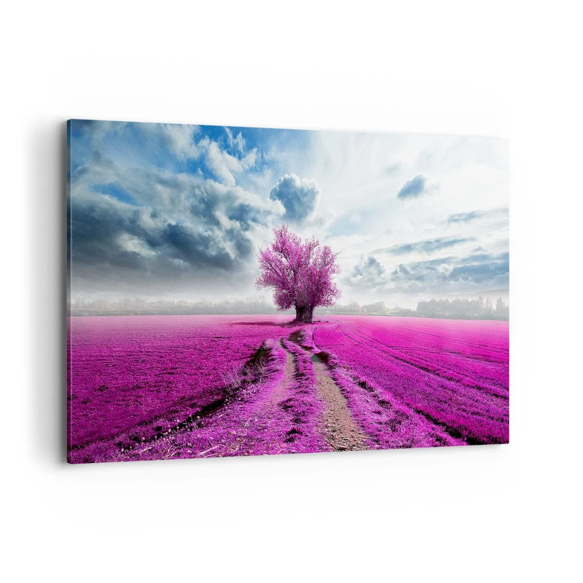 Lærredstryk - Billede på lærred - Hedeslette - charmerende - 100x70 cm