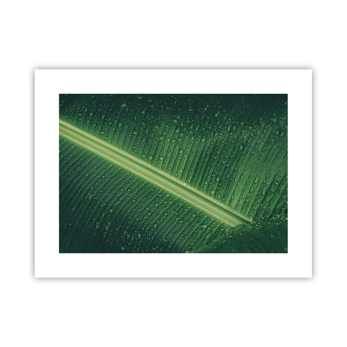 Plakat - Grøn struktur - 40x30 cm