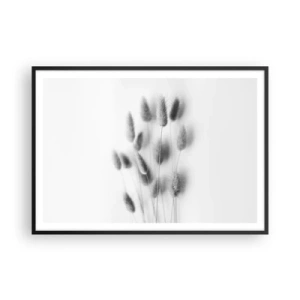 Plakat i sort ramme - Dens bløde græs - 100x70 cm