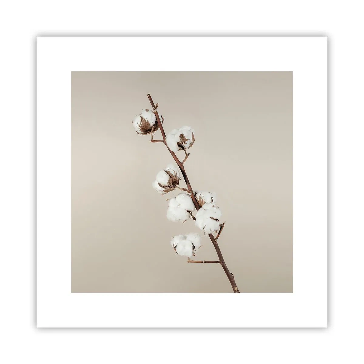 Plakat - Ved kilden til blødhed - 30x30 cm