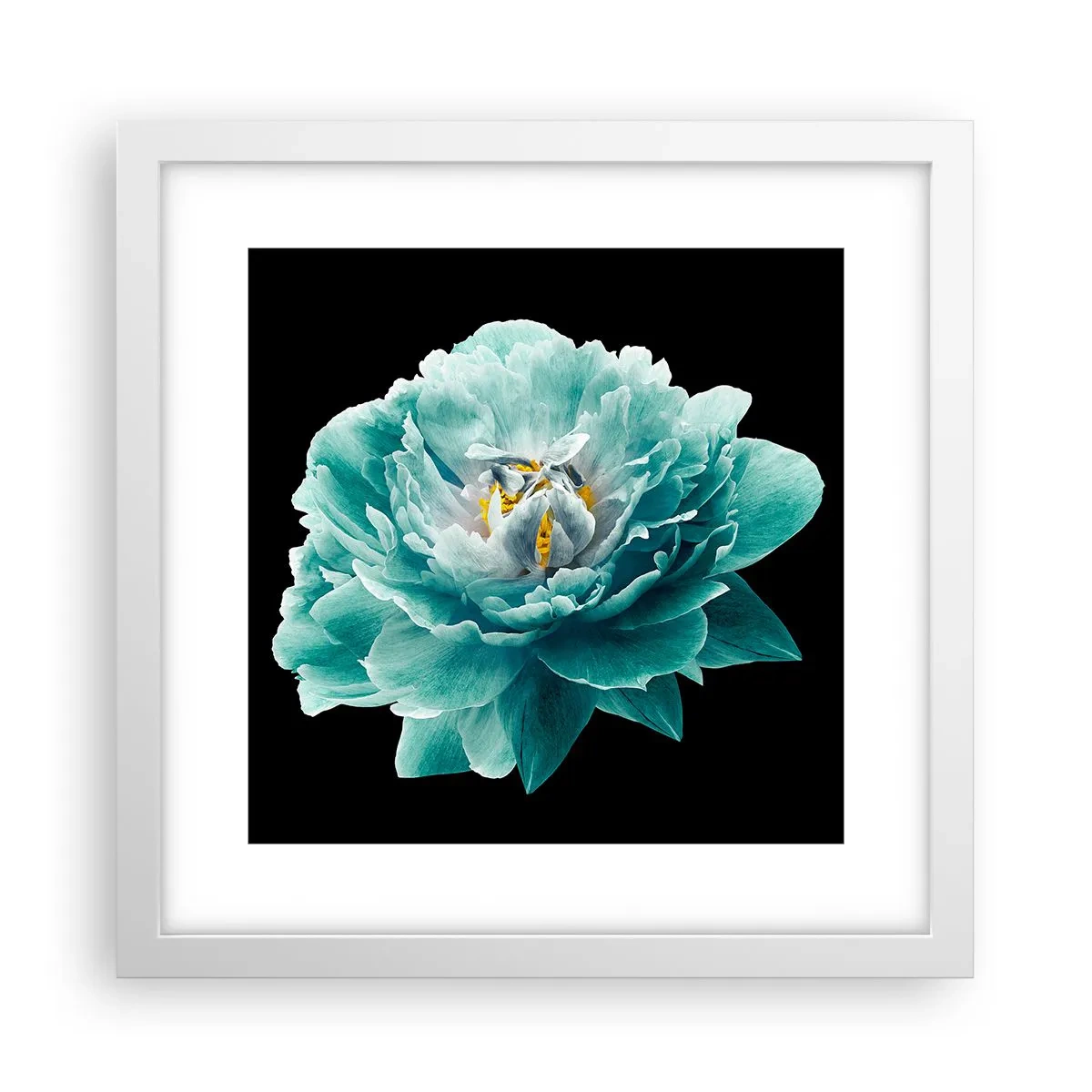 Plakat i hvid ramme - Blå og gyldne kronblade - 30x30 cm