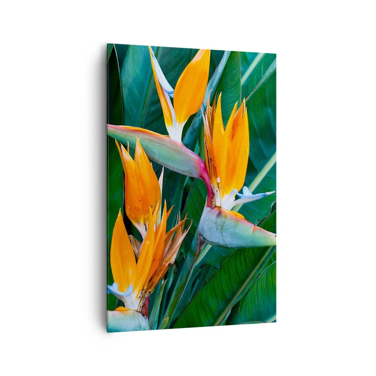 Lærredstryk - Billede på lærred - Er det en blomst eller er det en fugl? - 80x120 cm