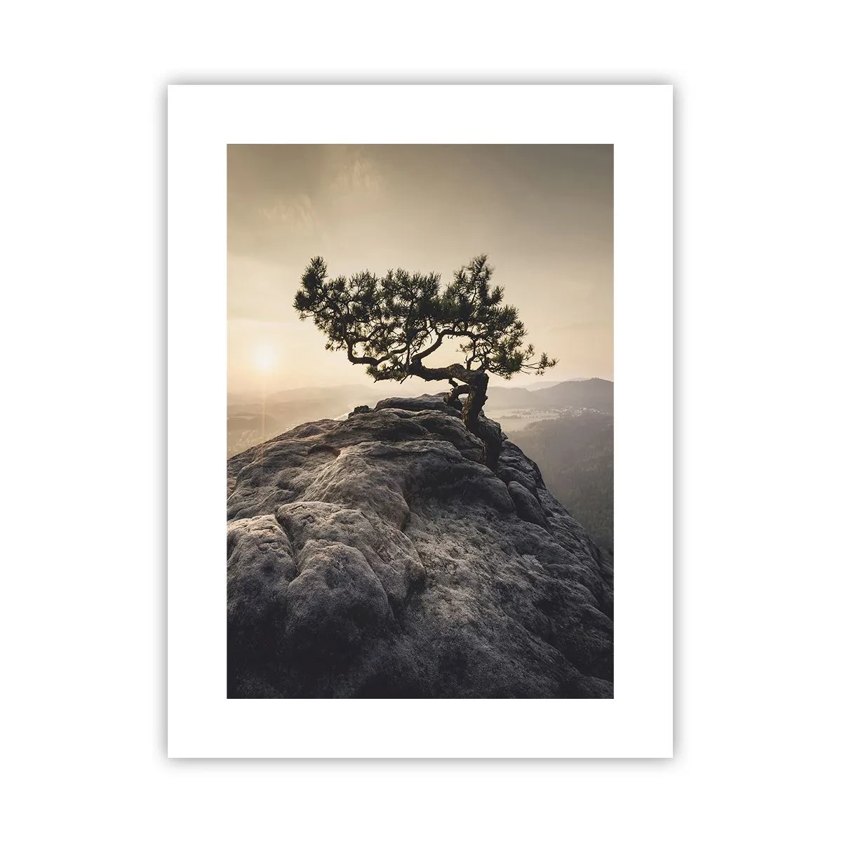 Plakat - Livet vinder altid - 30x40 cm