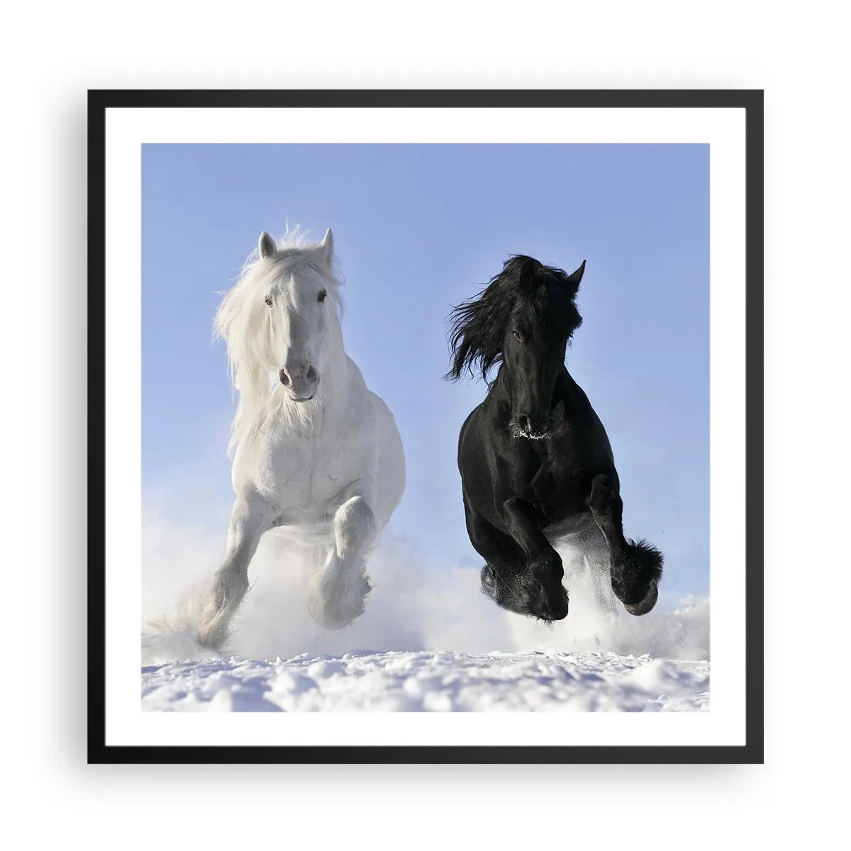 Plakat i sort ramme - Sort og hvid galop - 60x60 cm