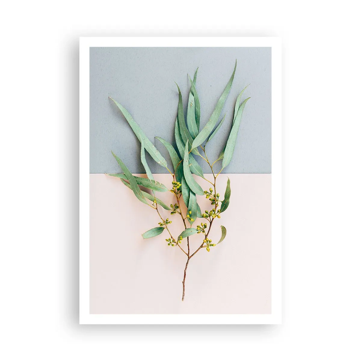 Plakat - Pastelfarvernes subtilitet - 70x100 cm