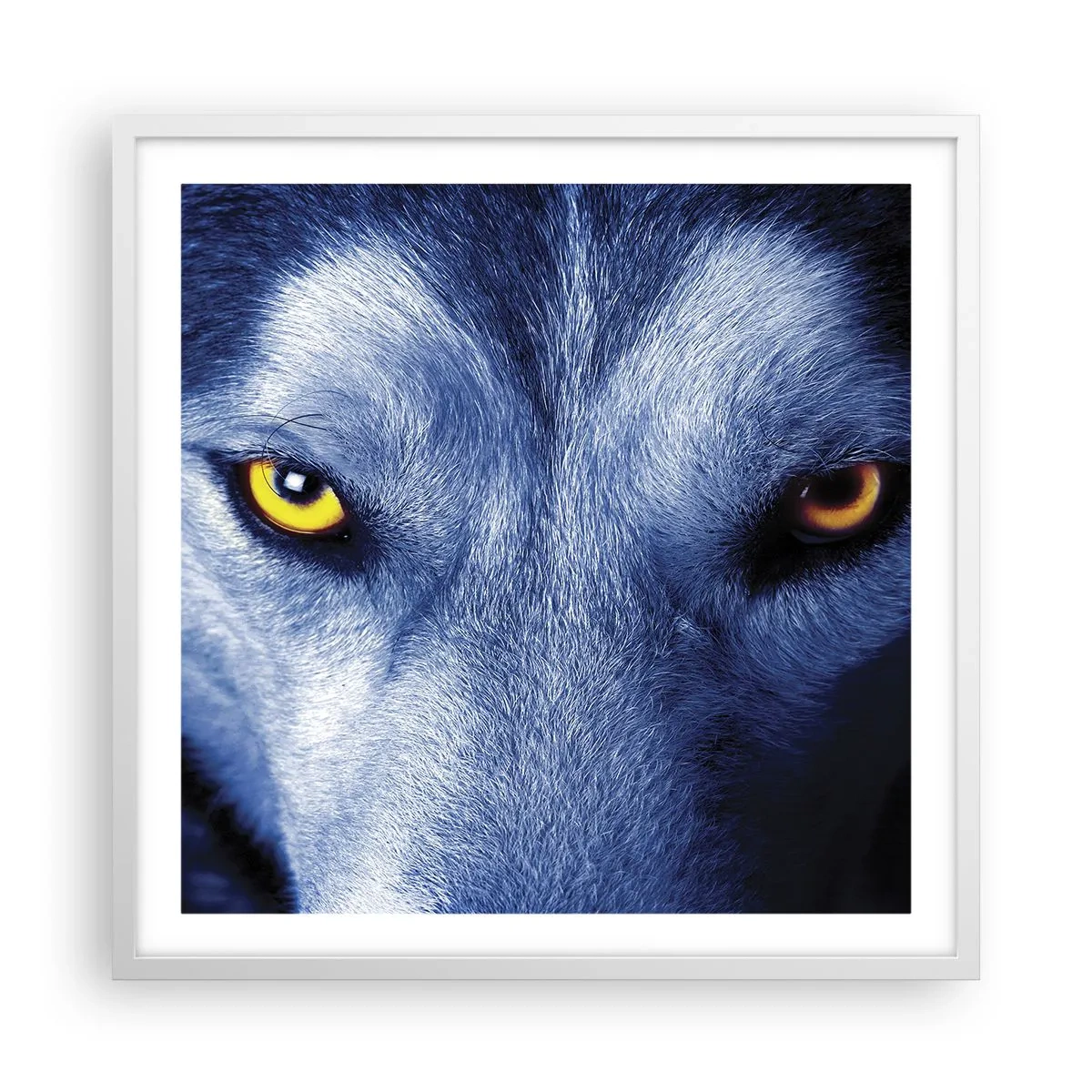 Plakat i hvid ramme - Et hypnotiserende udseende - 60x60 cm