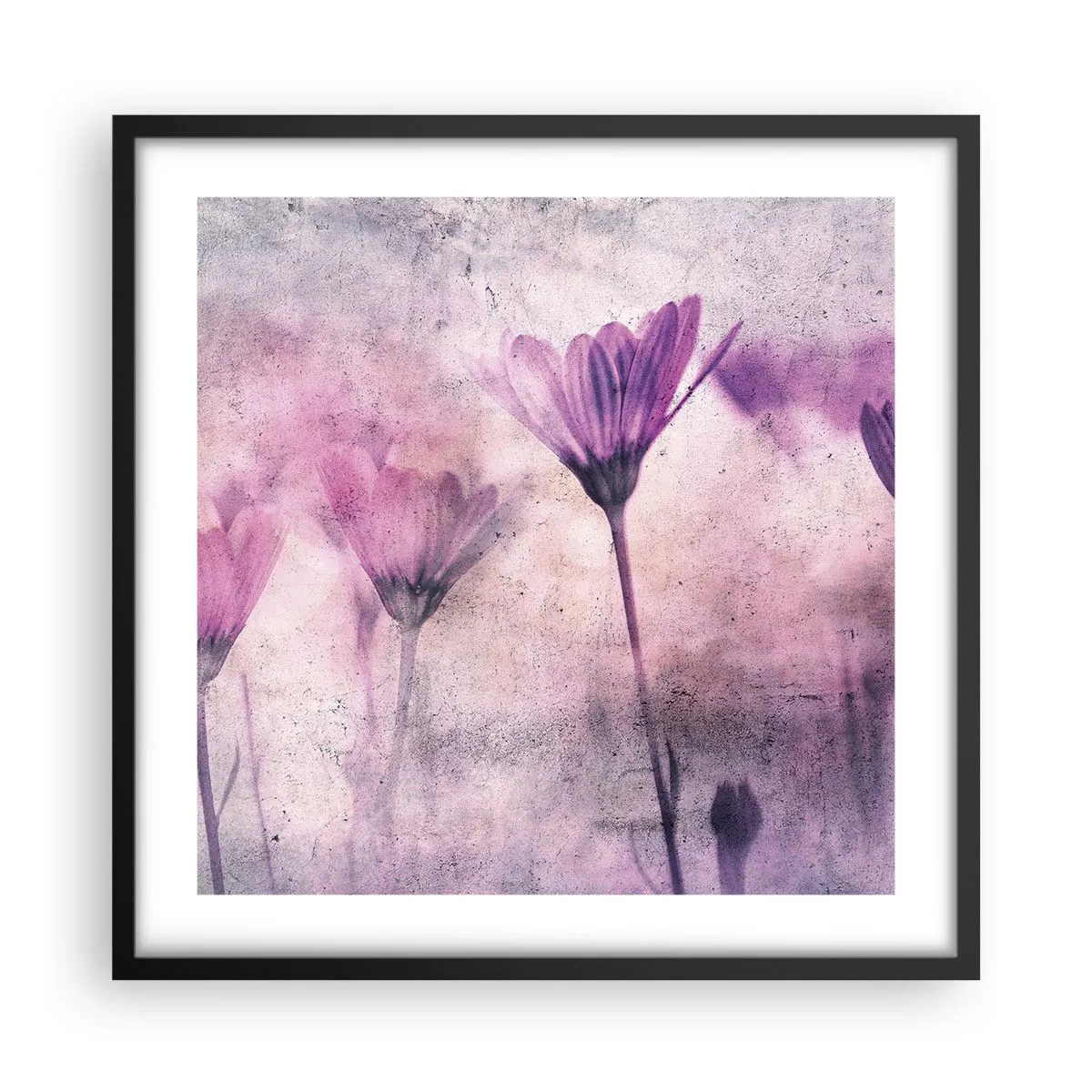 Plakat i sort ramme - En drøm af blomster - 50x50 cm