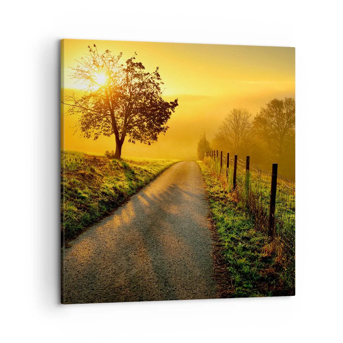 Lærredstryk - Billede på lærred - Kære eftermiddag - 50x50 cm